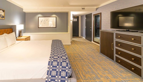 Habitación Premium, 1 cama de matrimonio grande