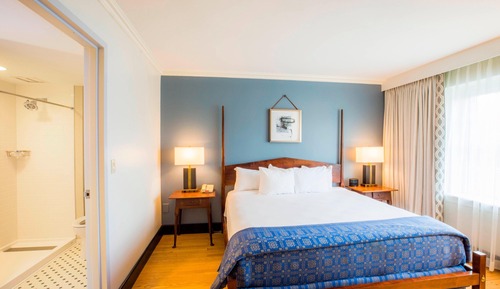 Suite junior, 1 cama de matrimonio grande con sofá cama
