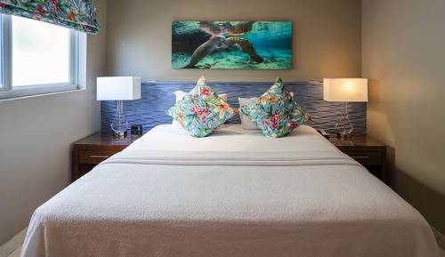 Junior Spa King Suite