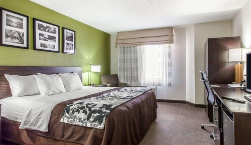 Habitación estándar, 1 cama de matrimonio grande, no fumadores