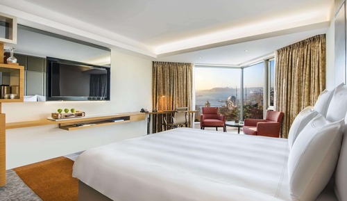 Suite ejecutiva, 1 cama de matrimonio grande con sofá cama, terraza