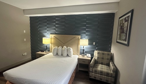 Habitación estándar, 1 cama de matrimonio, accesible para personas con discapacidad (Walk-in Shower)