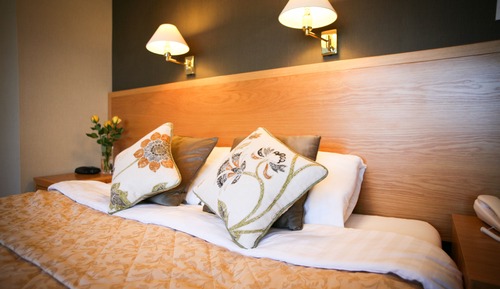 Habitación Deluxe con 1 cama doble o 2 individuales, baño privado