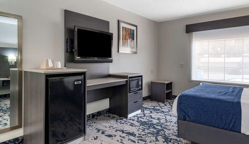 Habitación estándar, 1 cama de matrimonio grande, no fumadores, frigorífico y microondas