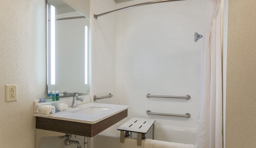 Habitación estándar, 1 cama de matrimonio grande, accesible en silla de ruedas (Roll-In Shower)