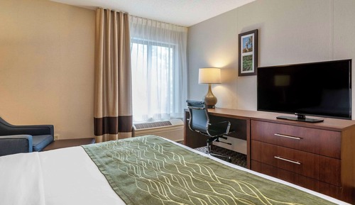 Habitación estándar, 1 cama de matrimonio grande, no fumadores