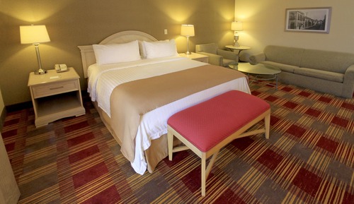 Habitación Premium, 1 cama de matrimonio grande