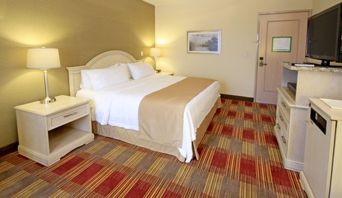 Habitación estándar, 1 cama de matrimonio grande