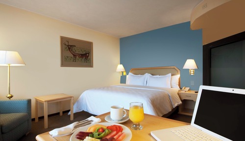 Habitación Deluxe