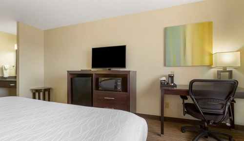Habitación estándar, 1 cama de matrimonio grande, no fumadores (Pet Friendly)
