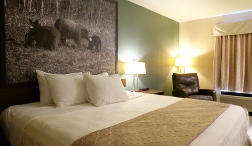 Habitación, 1 cama de matrimonio grande