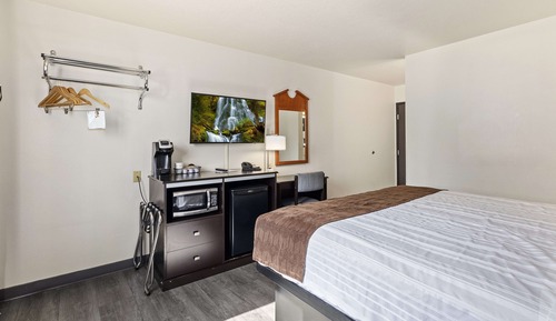 Habitación estándar, 1 cama de matrimonio grande, no fumadores, frigorífico y microondas