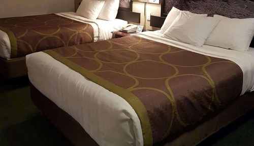 Habitación estándar, 2 camas de matrimonio, frigorífico y microondas