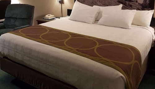 Habitación estándar, 1 cama de matrimonio grande, frigorífico y microondas