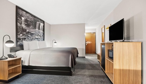 Habitación estándar, 1 cama de matrimonio grande