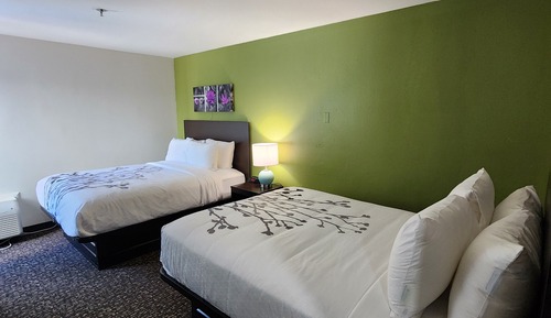 Habitación, 2 camas de matrimonio, accesible para personas con discapacidad, no fumadores