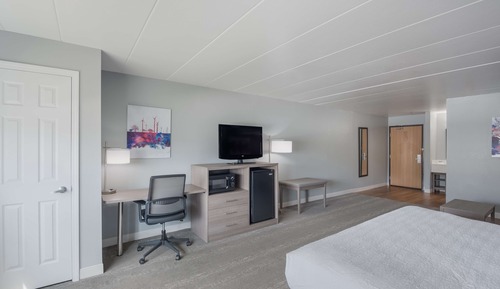 Suite, 1 cama de matrimonio grande, no fumadores, frigorífico y microondas (with Sofabed)