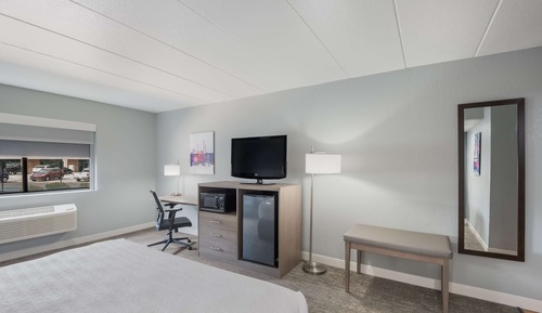 Suite, 1 cama de matrimonio grande, accesible para personas con discapacidad (Walk-in Shower)