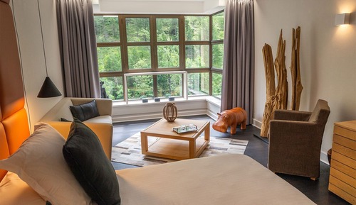 Habitación ejecutiva, vistas al río