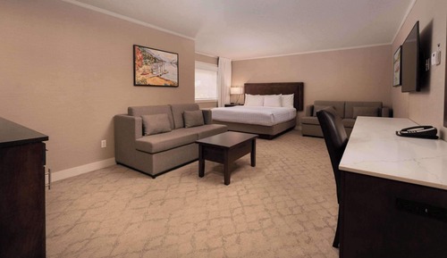 Estudio estándar, 1 cama de matrimonio grande, no fumadores, cocina básica (with Sofabed)