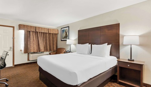 Habitación estándar, 1 cama de matrimonio grande, no fumadores, frigorífico y microondas