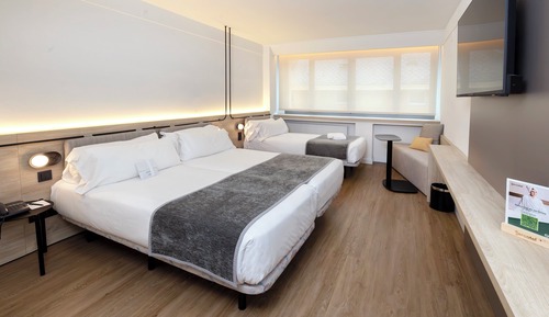 Habitación estándar, 3 camas individuales