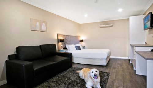 Habitación estándar, 1 cama de matrimonio, no fumadores (Pet Friendly)