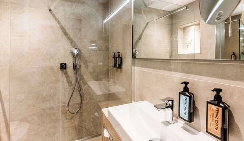 Habitación estándar, 1 cama doble, balcón, vistas al lago (Walk-in Shower)