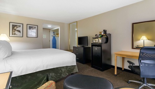 Standard Room, 1 King Bed, Non Smoking