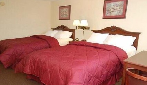 Habitación estándar, 2 camas de matrimonio, no fumadores