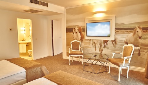 Deluxe Family  PLUS Suite