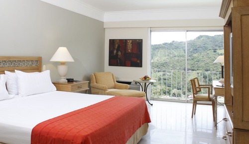 Habitación estándar, 1 cama de matrimonio (Standard Queen Bed Room)