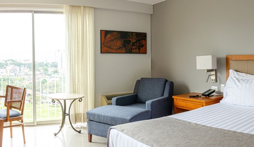 Habitación estándar, 1 cama de matrimonio (Standard Estelar Queen Bed Room)