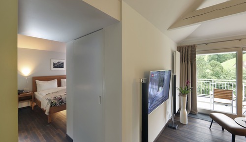 Suite junior, balcón, vistas al jardín