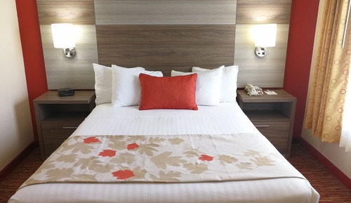 Habitación estándar, 1 cama de matrimonio