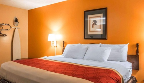 Habitación estándar, 1 cama de matrimonio grande, no fumadores