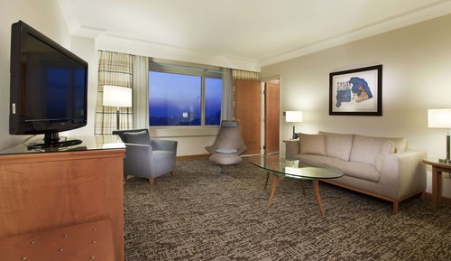 Suite, 1 habitación, acceso al Business Lounge, vistas al río