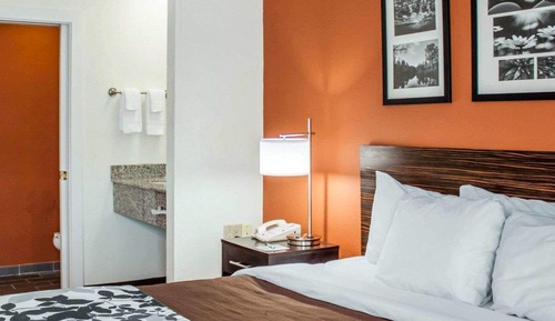 Habitación estándar, 1 cama de matrimonio, accesible para personas con discapacidad, no fumadores