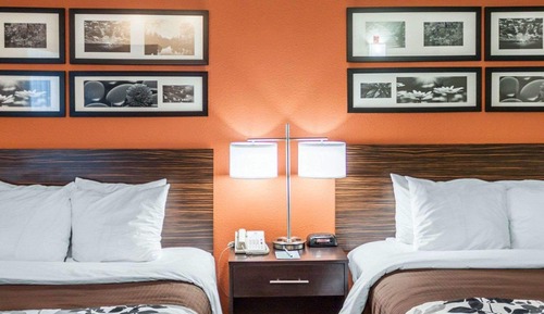 Habitación estándar, 2 camas de matrimonio, no fumadores