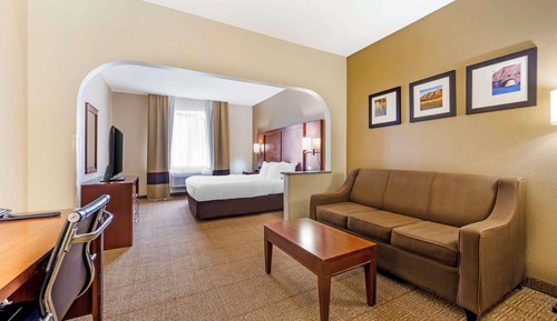 Suite, 1 cama de matrimonio grande con sofá cama, no fumadores (Pet Friendly)