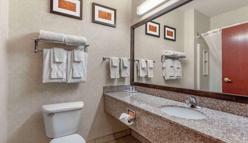 Suite Business, 1 cama de matrimonio grande con sofá cama, no fumadores (Pet Friendly)