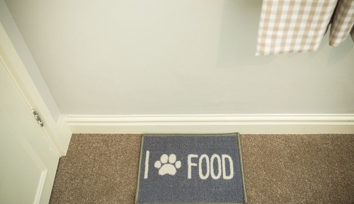 Habitación estándar, 1 cama doble, no fumadores (Pet Friendly)