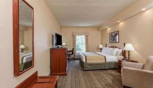 Suite, 1 cama de matrimonio grande, no fumadores (1 Bedroom)