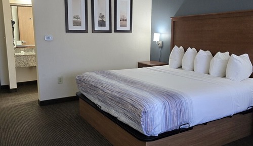 Habitación ejecutiva, 1 cama de matrimonio grande, no fumadores