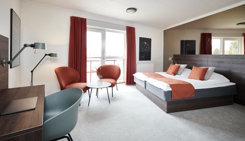 Habitación estándar, 1 cama doble