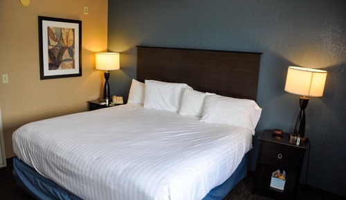 Suite Deluxe, 1 cama de matrimonio grande, no fumadores (1 Bedroom)