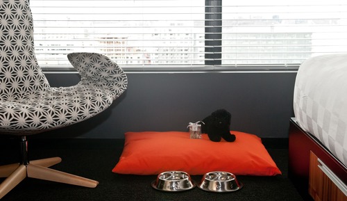 Habitación estándar, 1 cama de matrimonio