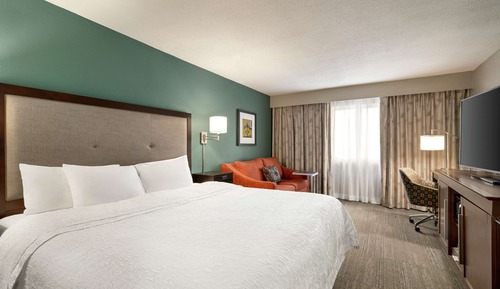 Habitación, 1 cama de matrimonio grande (St. Charles Ave View)