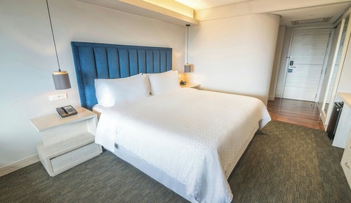 Habitación ejecutiva, 1 cama de matrimonio grande
