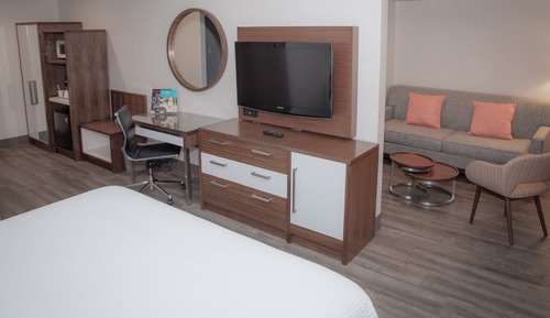 Suite Deluxe, no fumadores (Sofa Bed)